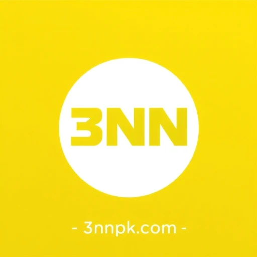 3NN